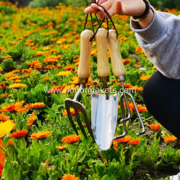 3pcs stainless steel Garden Tool Set heavy duty garden hand tools set Hand rake Hand Fork Trowel agricultural tools